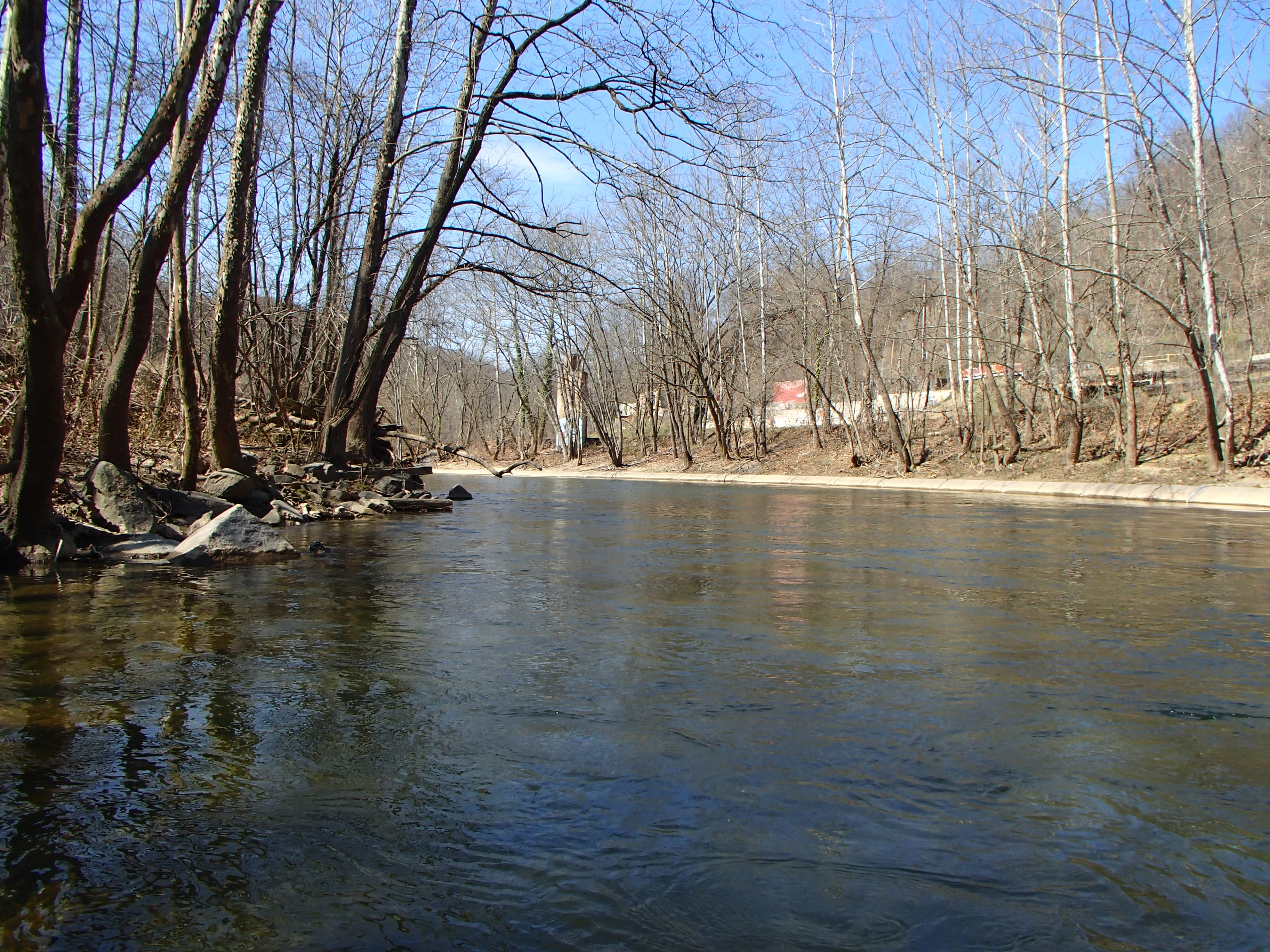 Field photo showing stream conditions at site PATL-B06-X-2016_midpoint looking upstream
